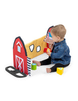 BABY EINSTEIN GIMNASIO DE ACTIVIDADES INTERACTIVO
